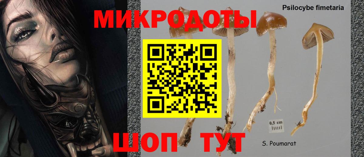 где купить   Псилоцибиновые грибы Psilocybine cubensis  Вход с VPN  Верхняя Пышма 